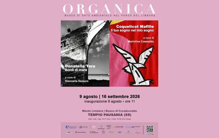 Mostre Organica al Parco del Limbara Mostre Organica al Parco del Limbara
