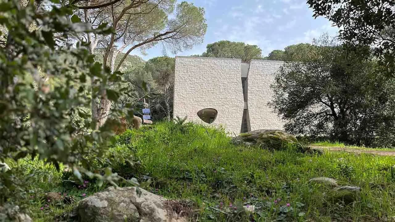 Organica – mostre di Caterina Lai e Suber