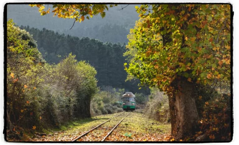 18 OTTOBRE 2026: Trenino verde e autunno in Barbagia Tappa a Belvì 18 OTTOBRE 2026: Trenino verde e autunno in Barbagia Tappa a Belvì