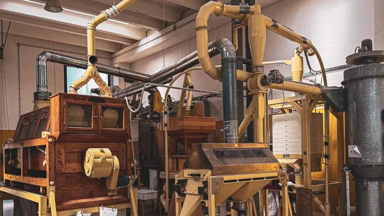 L’Arte incontra la Natura – Il Tempo del Grano L’Arte incontra la Natura – Il Tempo del Grano
