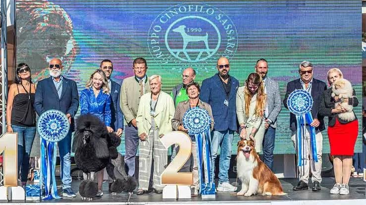 XXXII Esposizione Internazionale Cinofila di Sassari XXXII Esposizione Internazionale Cinofila di Sassari
