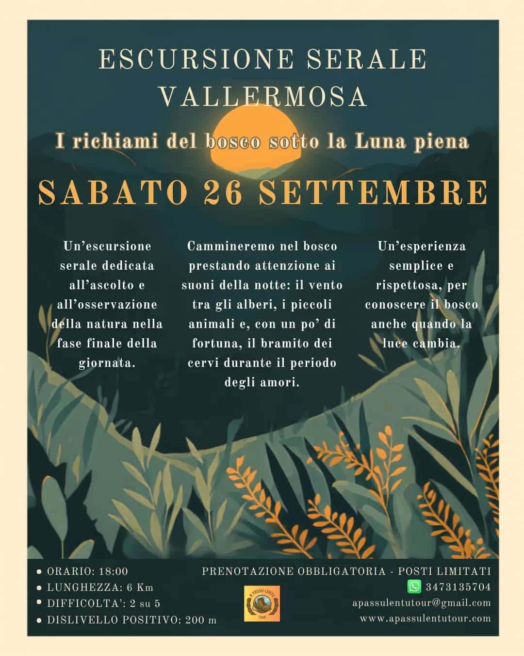 ESCURSIONE SERALE A VALLERMOSA "I richiami del bosco sotto la Luna piena" ESCURSIONE SERALE A VALLERMOSA "I richiami del bosco sotto la Luna piena"