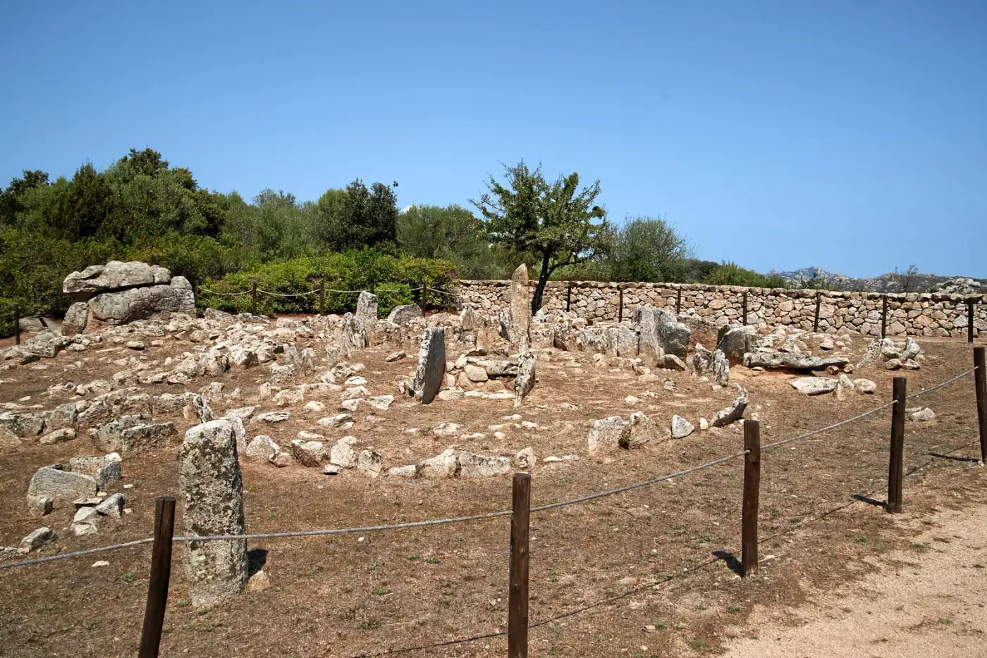 I circoli funerari della necropoli di Li Muri, nel territorio di Arzachena