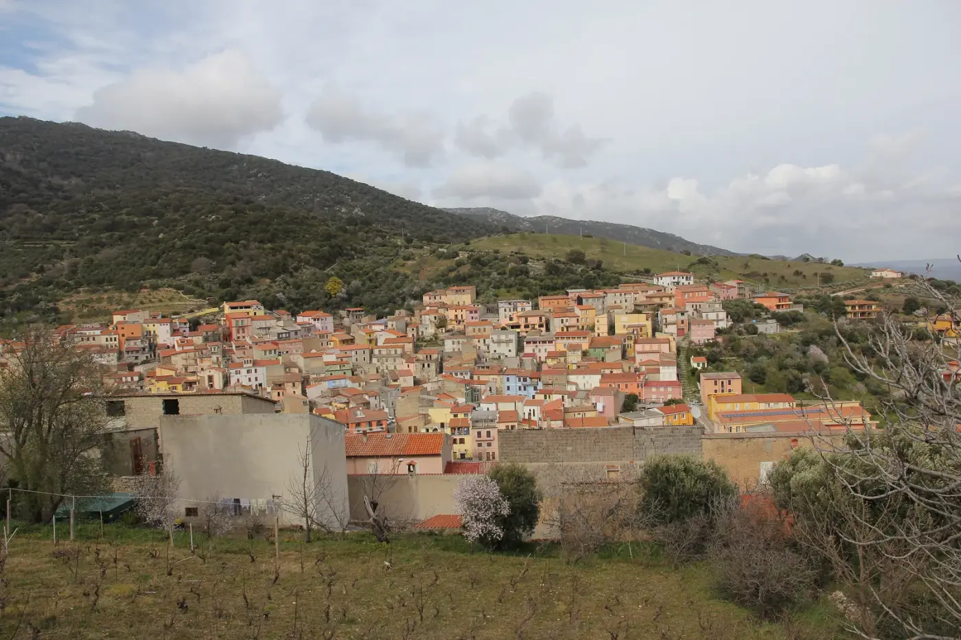 Veduta di Bultei in Sardegna