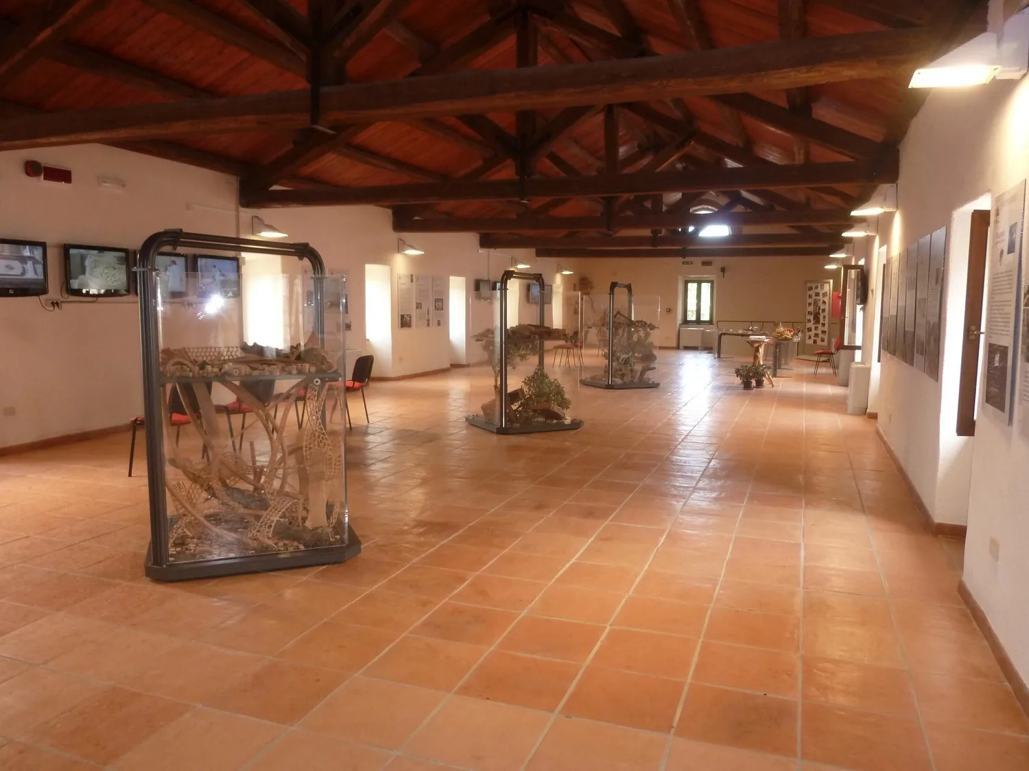 Interno del Museo del Sughero a Calangianus