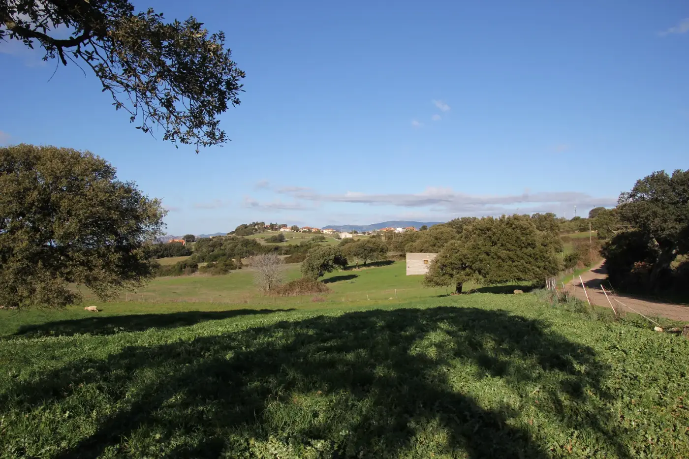 Veduta di Erula in Sardegna