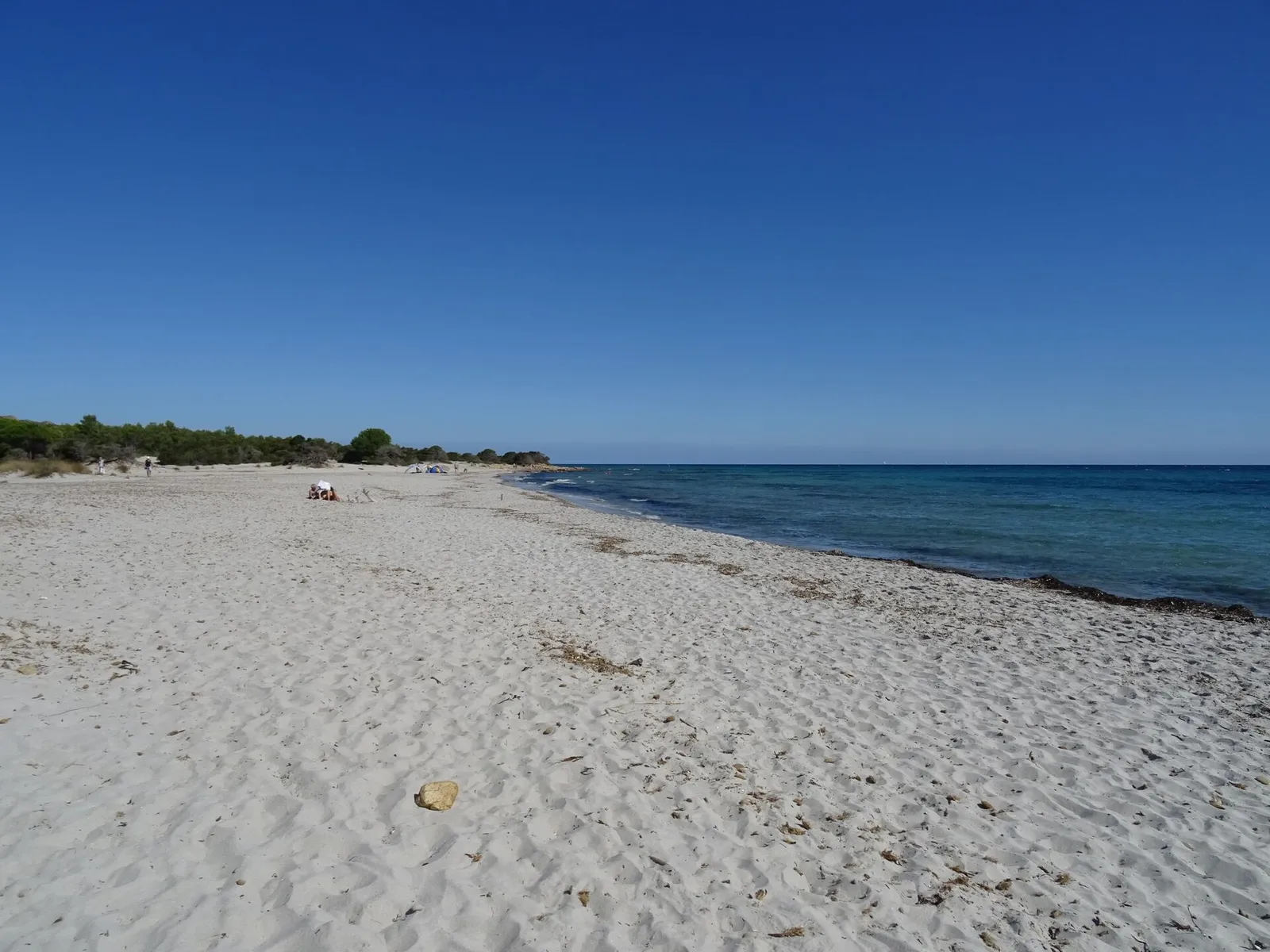 Spiaggia di Bidderosa ad Orosei, sabbia chiara e pineta della Baronia
