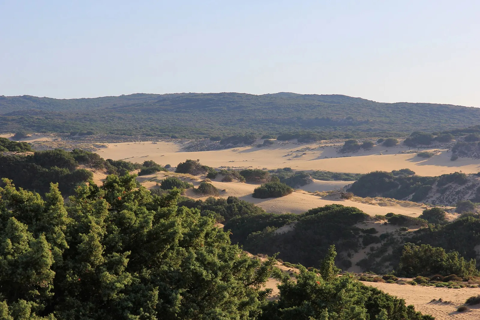 Le dune di Piscinas sulla Costa Verde, sabbia alta e mare aperto verso ovest