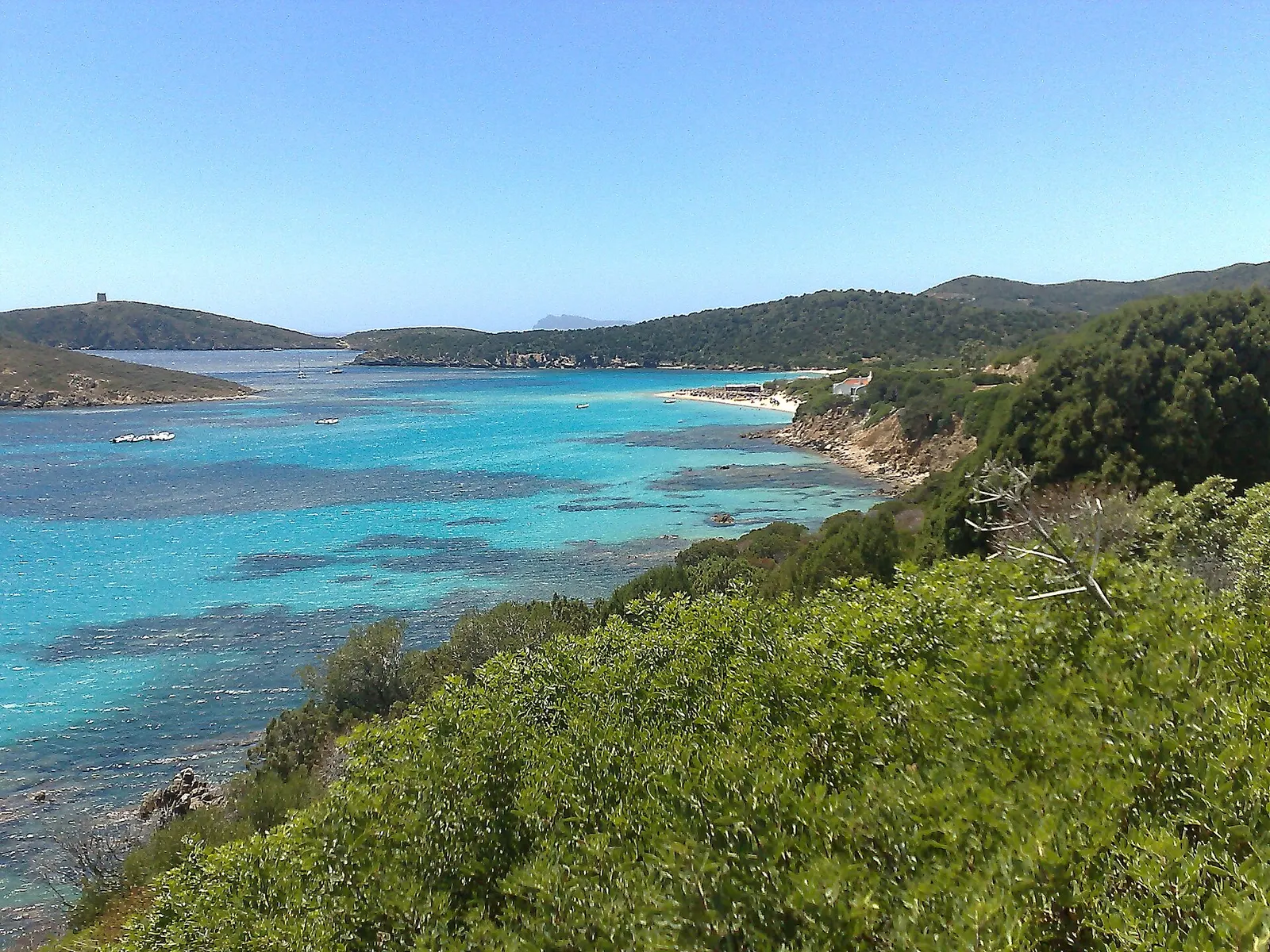Tuerredda a Teulada, baia turchese con l’isolotto di fronte e la macchia alle spalle