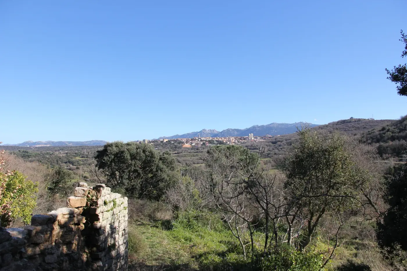 Tempio Pausania vista dai colli, con il campanile al centro del granito